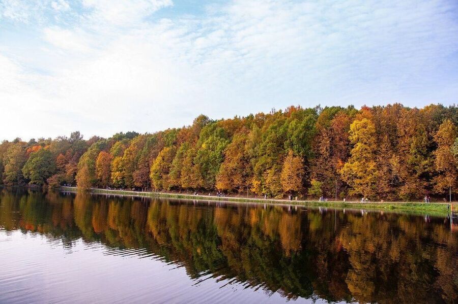 Особенно живописно смотрелись